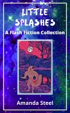 Little Splashes: A Flash Fiction Collection (eBook, ePUB)