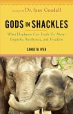 Gods in Shackles (eBook, ePUB)