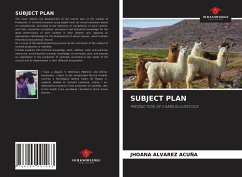 SUBJECT PLAN - ALVAREZ ACUÑA, JHOANA