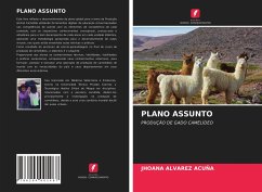 PLANO ASSUNTO - ALVAREZ ACUÑA, JHOANA