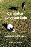 Caminhar ao vosso lado (eBook, ePUB)