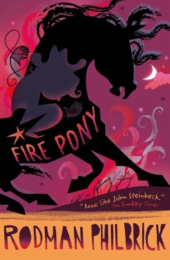 Cover Fire Pony (eBook, ePUB)