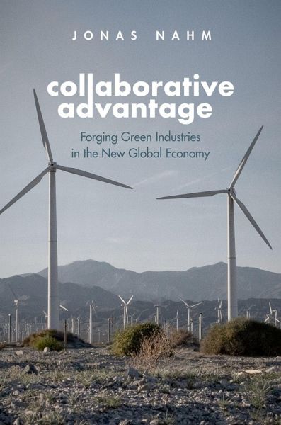 Collaborative Advantage (eBook, PDF) Collaborative Advantage (eBook, PDF)