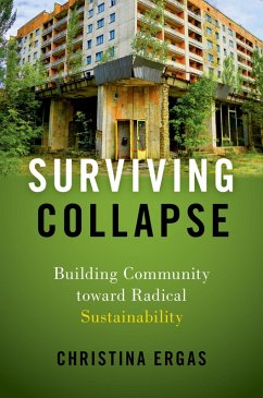 Cover Surviving Collapse (eBook, PDF)