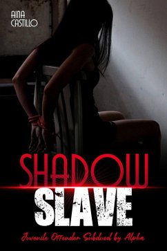 Cover Shadow Slave (eBook, ePUB)