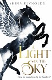 A Light in the Sky (Clashing Skies, #1) (eBook, ePUB) A Light in the Sky (Clashing Skies, #1) (eBook, ePUB)
