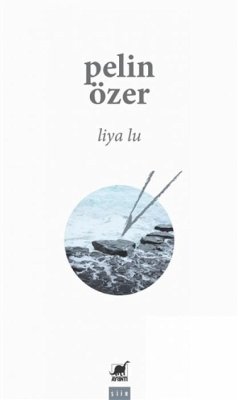 Cover Liya Lu
