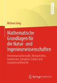Mathematische Grundlagen für die Natur- und Ingenieurwissenschaften (eBook, PDF)