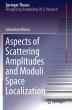 Aspects of Scattering Amplitudes and... - Bild 1