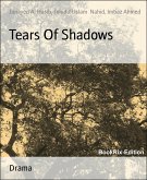 Tears Of Shadows (eBook, ePUB)