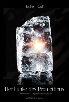 Cover Der Funke des Prometheus