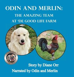 Odin and Merlin - Orr, Diane