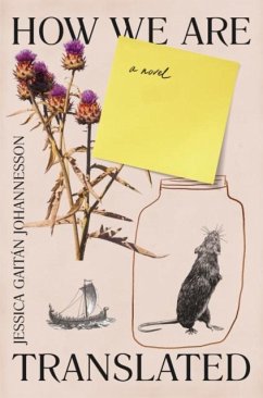 Cover How We Are Translated