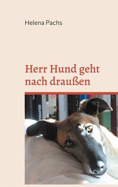 Herr Hund geht nach draußen (eBook, ePUB)