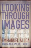 Looking Through Images (eBook, ePUB)