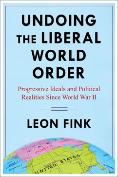 Undoing the Liberal World Order (eBook, ePUB) - Fink, Leon