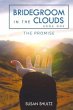 Bridegroom in the Clouds (eBook, ePUB) - Bild 1