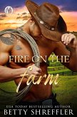 Fire On The Farm (Healed Hearts Romances, #1) (eBook, ePUB)