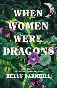 When Women Were Dragons - Barnhill, Kelly