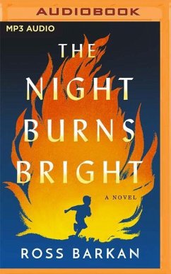 The Night Burns Bright - Barkan, Ross