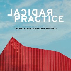 Radical Practice - Boelkins, Jonathan; MacKeith, Peter