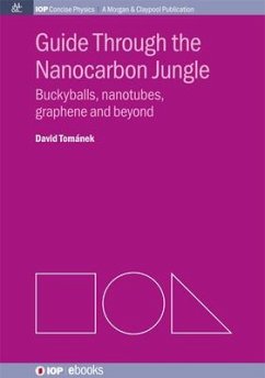 Guide through the Nanocarbon Jungle: Buckyballs, Nanotubes, Graphene, and Beyond - Tománek, David