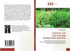 Comores: une pharmacopée traditionnelle délaissée