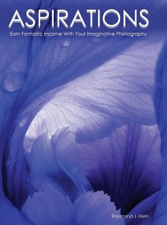 Aspirations: Earn Fantastic Income With Your Imaginative Photography - Klein, Raymond