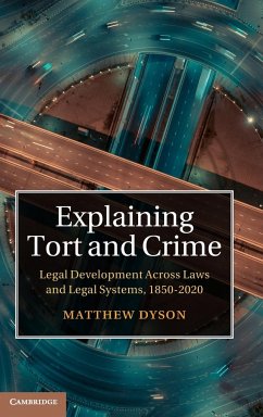 Explaining Tort and Crime - Dyson, Matthew (University of Oxford)