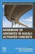 Handbook of advances in... - Bild 1