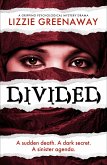 Divided: A Gripping Psychological Mystery Drama