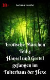 Erotische Märchen Teil 4 Hänsel und Gretel - gefangen im Folterhaus der Hexe (eBook, ePUB)