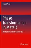 Phase Transformation in Metals