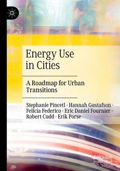 Energy Use in Cities - Pincetl, Stephanie;Gustafson, Hannah;Federico, Felicia