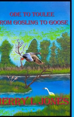 Cover Ode To Toulee - From Gosling To Goose