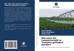 Wie kann die Landwirtschaft in Tunesien gefördert werden? - Bakari, Sayef;Khalfallah, Sirine;Zidi, Ahmed