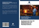 Systemansatz bei der Modellierung und Erforschung von Metallprozessen