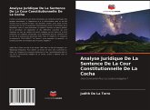 Analyse Juridique De La Sentence De La Cour Constitutionnelle De La Cocha