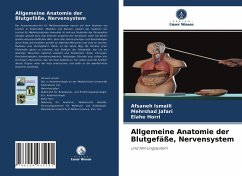 Allgemeine Anatomie der Blutgefäße, Nervensystem - Ismaili, Afsaneh;Jafari, Mehrshad;Horri, Elahe