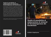 Studio di possibilità di elaborazione di minerali di ferromanganese del Kazakistan