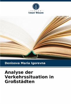 Cover Analyse der Verkehrssituation in Großstädten