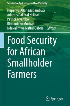 Food Security for African Smallholder Farmers