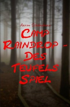 Camp Raindrop - Des Teufels Spiel - Schöneborn, Aaron