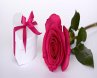Love Maker (eBook, ePUB) - Bild 1