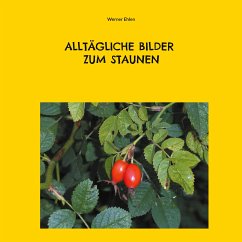 Alltägliche Bilder zum Staunen (eBook, ePUB) - Ehlen, Werner