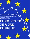 EURO: Co to je a jak funguje (eBook, ePUB)