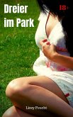 Dreier im Park (eBook, ePUB)
