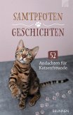 Samtpfotengeschichten (eBook, ePUB)