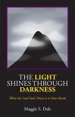 The Light Shines Through Darkness (eBook, ePUB)