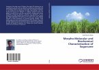 Morpho-Molecular and Biochemical Characterization of Sugarcane